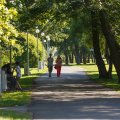 В парках Пыхья-Таллинна будут проведены масштабные работы