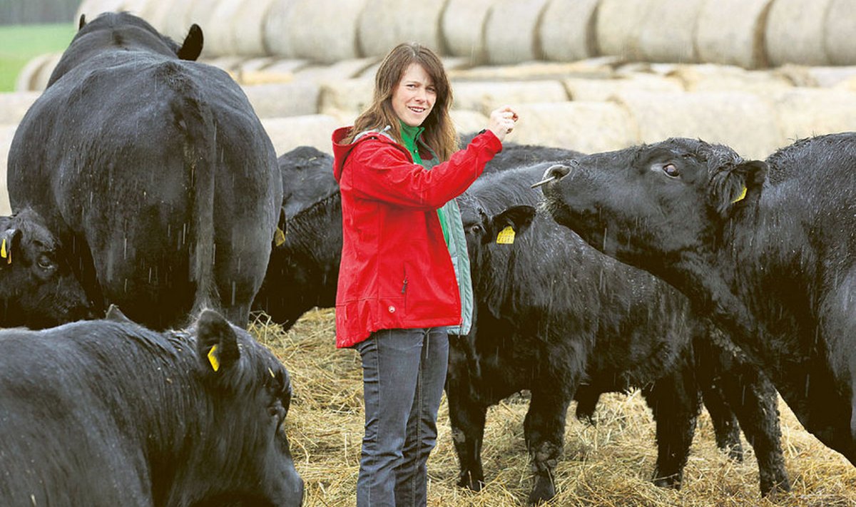 Jane Mättik püüab oma lihaveiseid hooldada nii, et nad kestaksid karjas kaua. Ka tema magistritöö Eesti Maaülikoolis on seotud lihaveistega. 