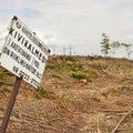 FOTOD: Muinsuskaitse lubas kalmetel puid maha võtta