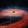 Tõeline kosmosemõrtsukas: NASA leidis musta augu, mis rebib tähe tükkideks ja paiskab selle jäänused kosmosesse