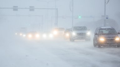 На Эстонию надвигается сильная метель, к утру может выпасть до 7 см снега