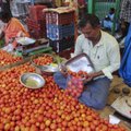 Indias on tomatid kallimad kui kütus