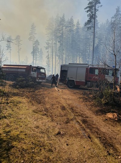Metsapõleng Tartumaal