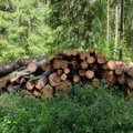 Advokaadid: metsateatiste registreerimine peab muutuma läbipaistvamaks