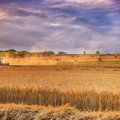 Еврокомиссия запретила поставки украинского зерна в пять стран