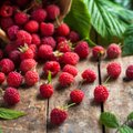 Чудо ягода: 5 невероятных свойств малины для красоты и здоровья