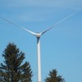 Starmani asutaja teenis tuulegeneraatoritega 12 miljonit