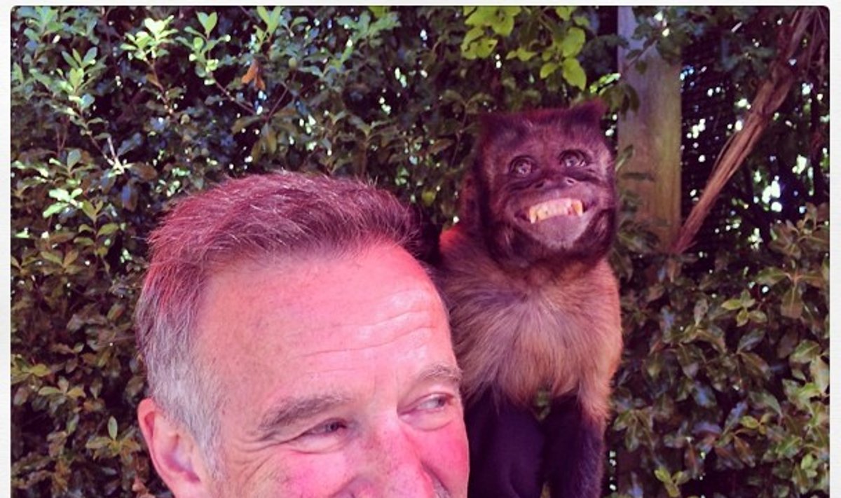 Robin Williamsi viimane pilt