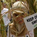 Europarlament: Riigid peavad saama GMO-de kasvatamist keelata!