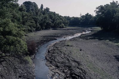 Обмелевшее русло притока Днепра, реки Мокрая Московка