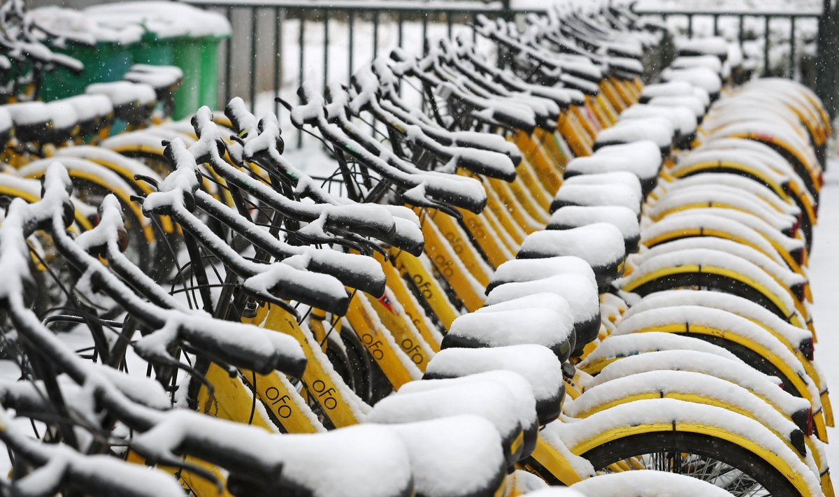 Lumega kaetud Ofo jalgrattad Zhengzhous.