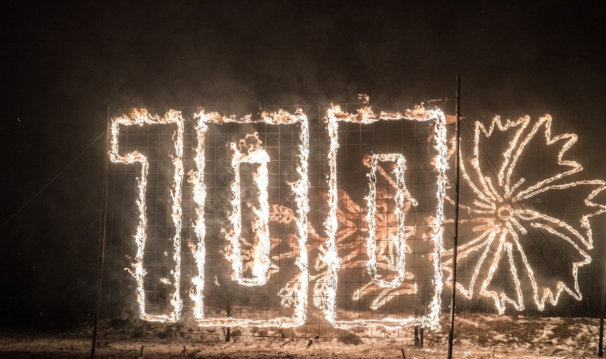 Tuleskulptuurid Lasnamäel 2018, Lasnamäe linnaosa jõulukuuskedest tuleskulptuuride põletamisüritus