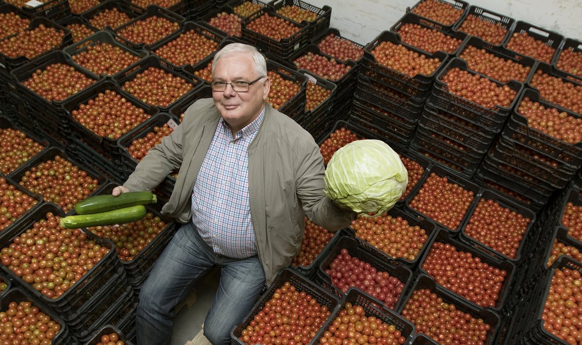„Üha rohkem kasvatame kirsstomateid, sest neid ostetakse päris hästi,“ rõõmustab Kalle Reiter oma saagi keskel.