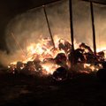 Heategijad aitavad heinaküüni põlengus kahju kannatanud taluperemeest