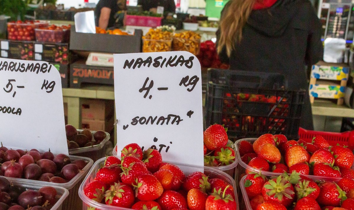 Pärnu turule tulid sel hooajal esimest korda võluväel müügile Läti maasikad, mis asendasid senised kodumaised marjad.