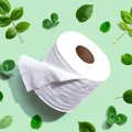 Туалетная бумага на стебле: может ли растение заменить традиционный рулон?