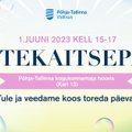 Пыхья-Таллинн приглашает отметить День защиты детей