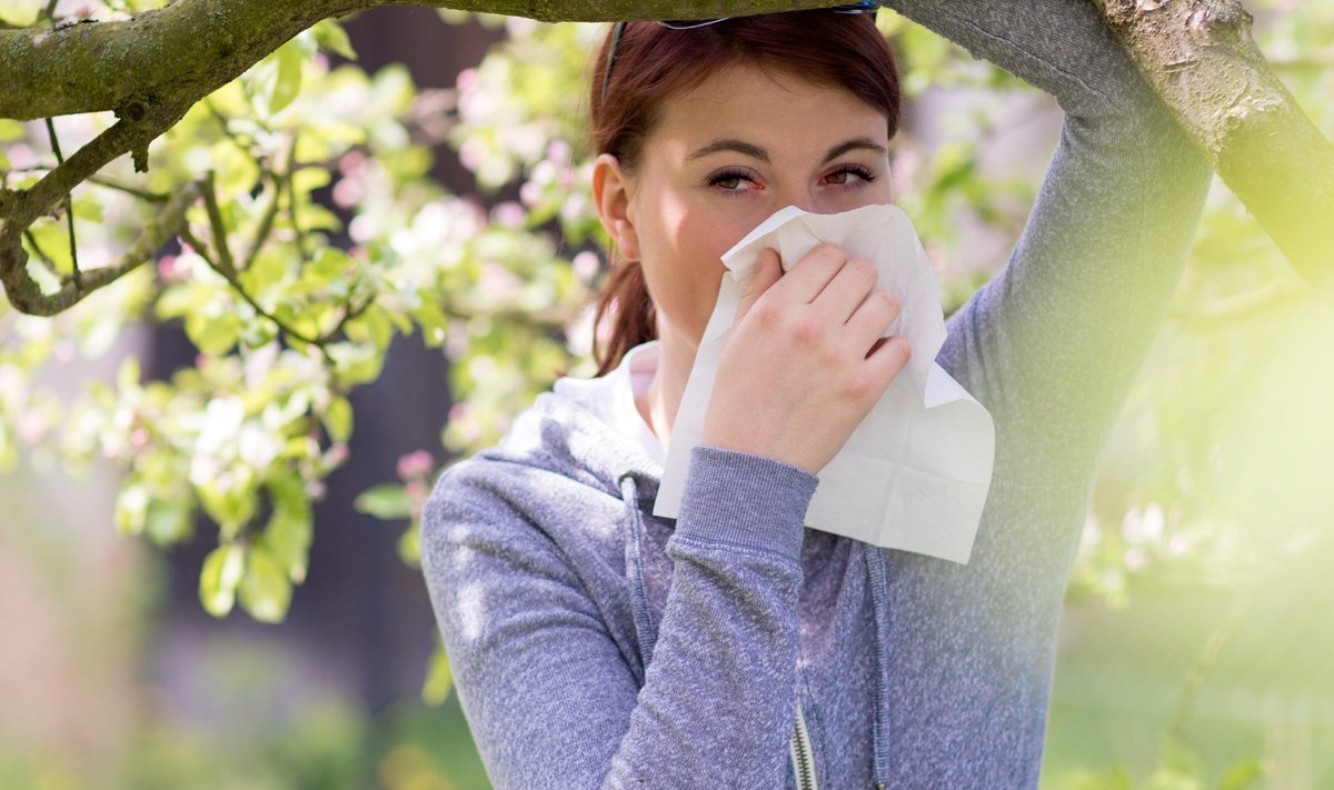 Kunis õiteaeg toob paljudele inimestele kaasa tüütud allergiast põhjustatud vaevused.