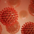 Правда или миф: распространяется ли коронавирус через вентиляционную систему?