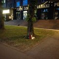 ФОТО читателя Delfi: К месту смерти таксиста на улице Теллискиви принесли цветы и свечи