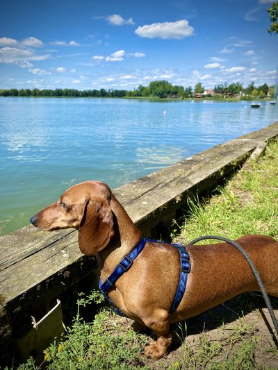 Ilse Ełkis järvevaadet nautimas