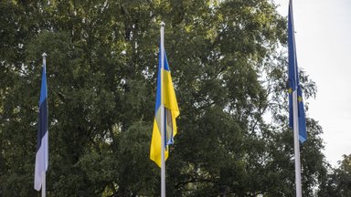 Правительство РФ запретило украинцам въезжать в Россию через Эстонию
