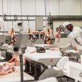 Производитель: цена на свинину стремится к рекордному уровню