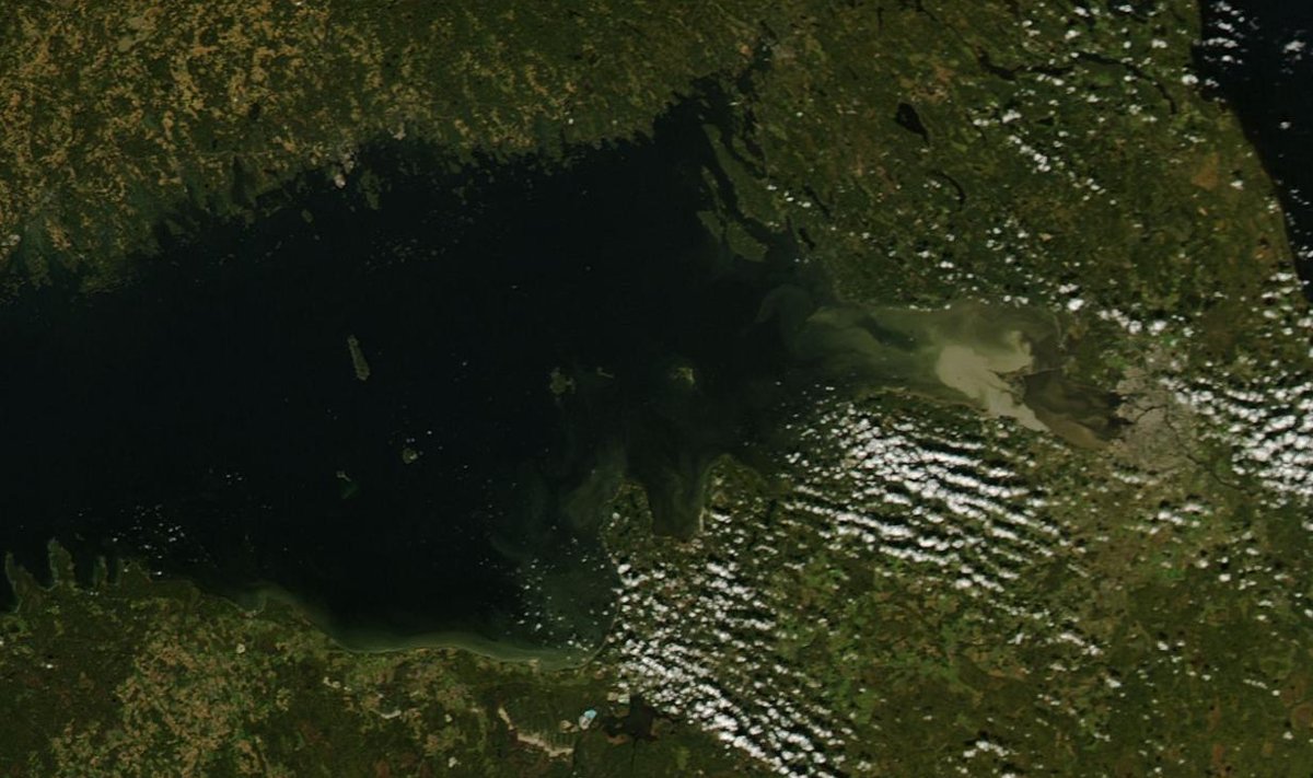 Satelliidifoto 3. oktoobrist 2015. Süvendustööd foto parempoolses osas.