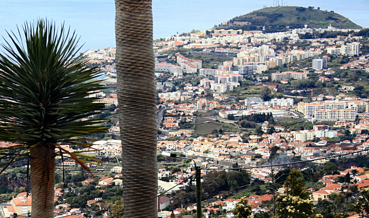 Vaade Montele Funchali keslinnast. 