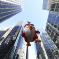 Angry Birds ehmatas investoreid. Aktsia teeb hädamaandumist