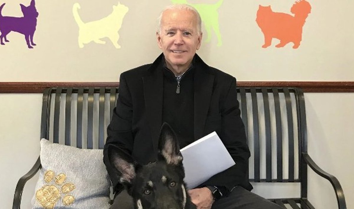 Joe Biden koeraga