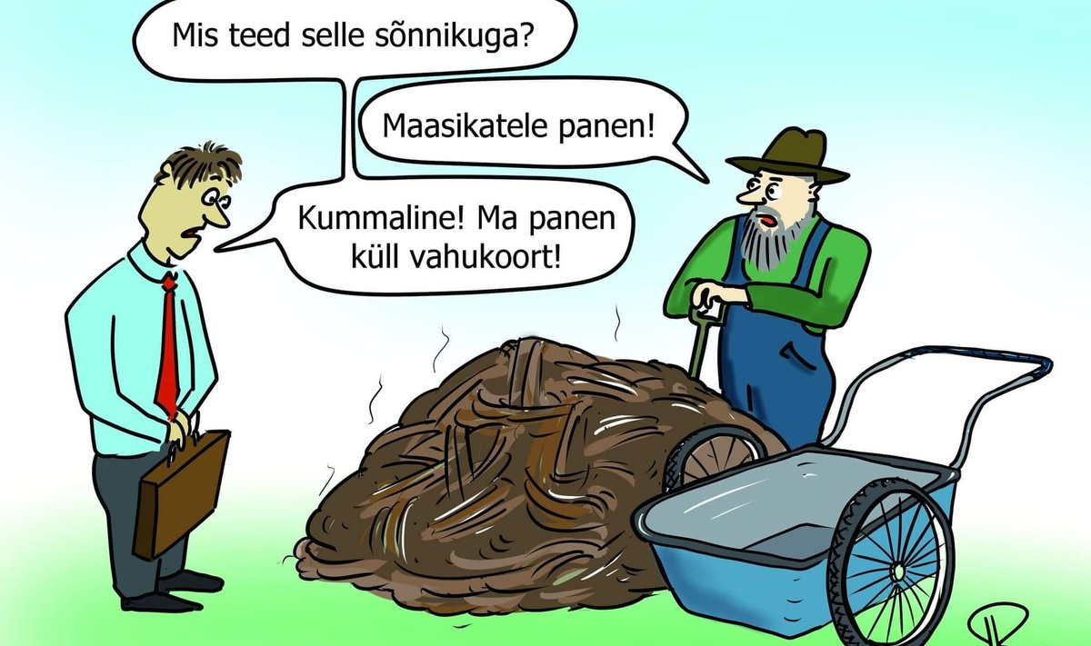 Karikatuur