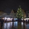 Рождественская елка появится на Ратушной площади уже в среду
