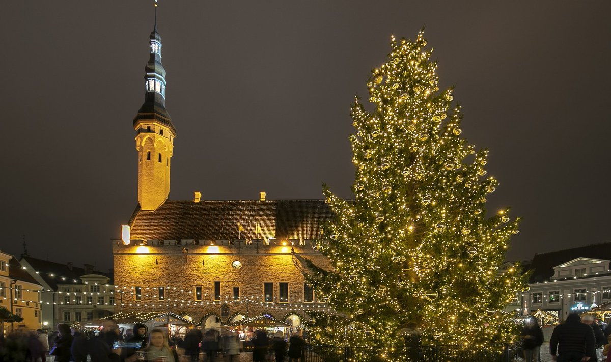 Jõulupuu Tallinna Raekoja platsil