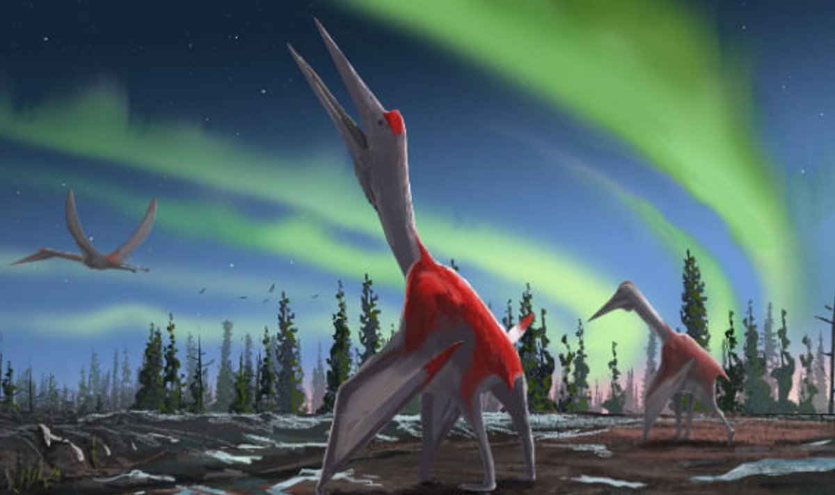 Hiiglaslik pterosaurus võis välja näha selline