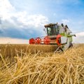 Swedbank: põllumeestel oli hea aasta, muretsema paneb aga tulevik