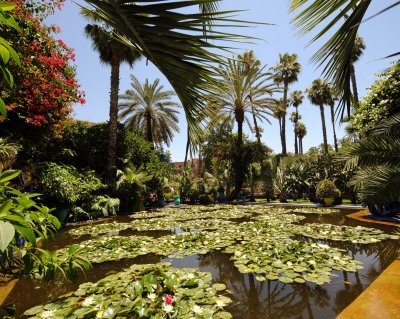 Majorelle aed Marrakechis