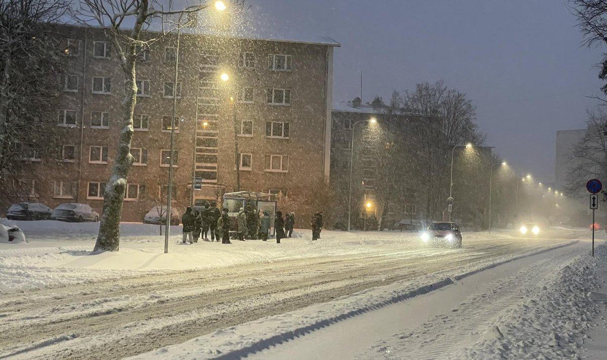 Narva sel detsembril