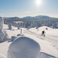 Finnair организует виртуальные рейсы в Рованиеми — для участия в полете нужны компьютер, смартфон или VR-очки