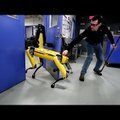 VIDEO | Boston Dynamics jätkab oma robotite kiusamist, nüüd valiti ohvriks uus SpotMini