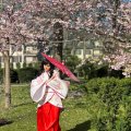 ФОТО | Не упустите момент! В Японском саду в Таллинне расцвела сакура