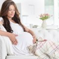 RASEDUSKALENDER| Nädal 27 — algab raseduse viimane kolmandik