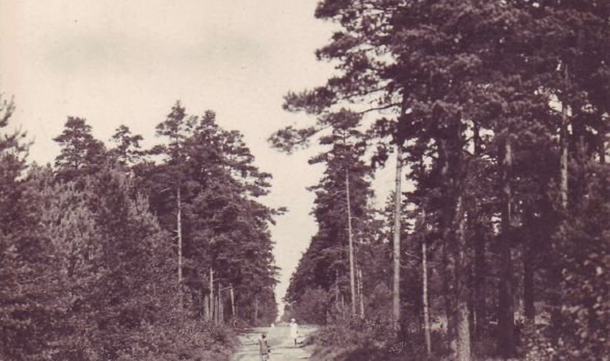 Kadaka tee (praegune Kadaka puiestee) 1920. aastate alguses. Foto: Leho Lõhmuse erakogu
