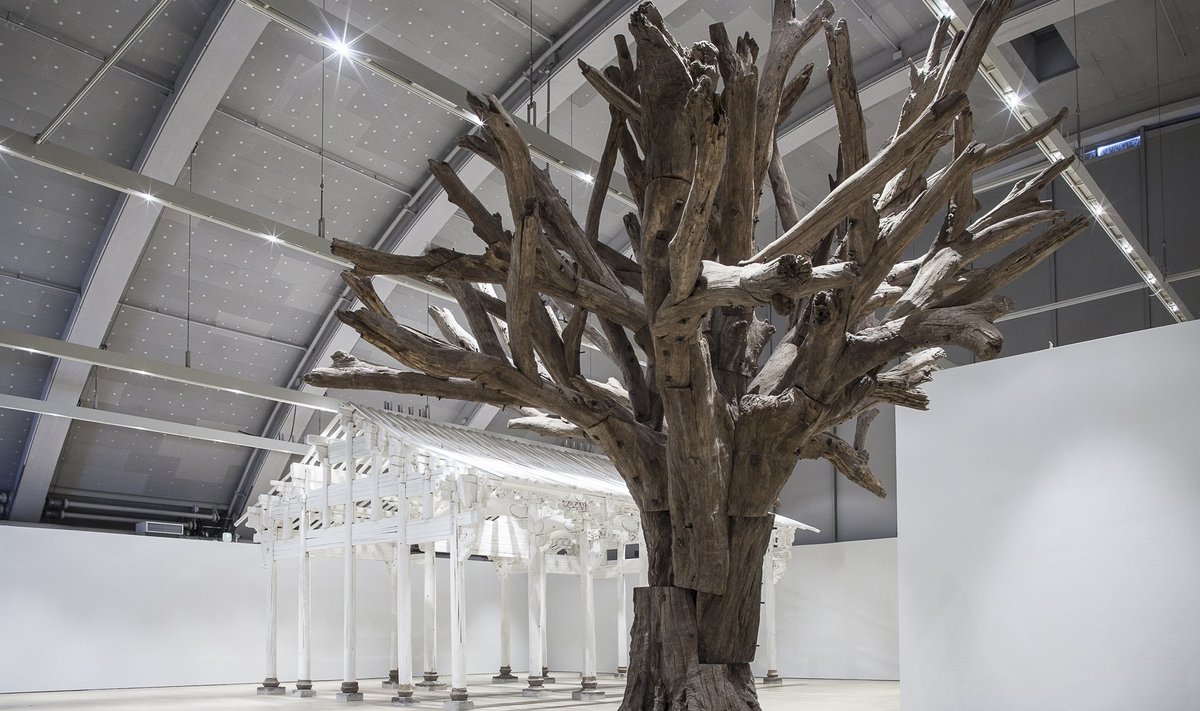 „Ai Weiwei @ Helsinki” on kunstniku esimene näitus, kus on väljas ainult puidust teosed. 27 teosest massiivseimad on „Valge maja” (2015)  ja „Puu” (2010), mis mõlemad kaaluvad seitse tonni. 