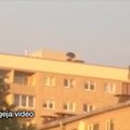 VIDEO | Omakohus: Mustamäe elanik loopis katuselt väikeseid kajakapoegi alla