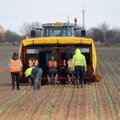 Suurbritannia lennutab Ida-Euroopa põllutöölised tšarterlendudega kohale