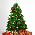 Viis tõeliselt kaunist jõulupuud, millest inspiratsiooni ammutada