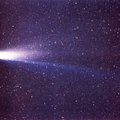 Suhkur, elusolendite kujunemise alus, tekkis ilmselt komeedil