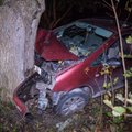 FOTOD | Viljandimaal sõitis auto metslooma tõttu vastu puud