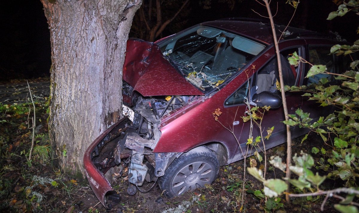 Viljandimaal sõitis auto vastu puud.